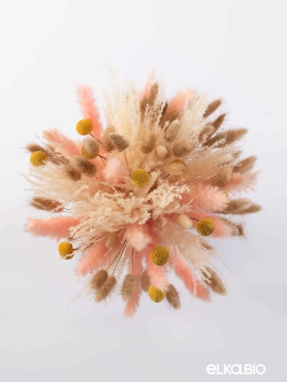 Сухоцветы для декора интерьера. Набор М079