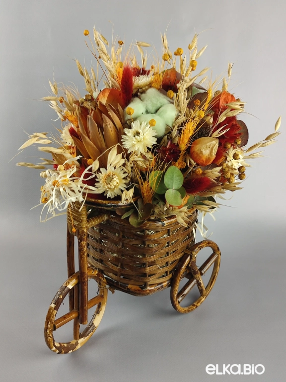 Сухоцветы в корзине на велосипеде Б38-B100