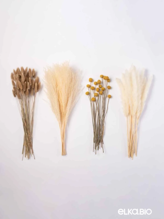 Набор сухоцветов для вазы. Набор М077