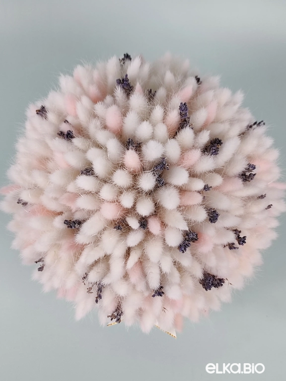 Композиция в шляпной коробке из белого и розового лагуруса А127-B103