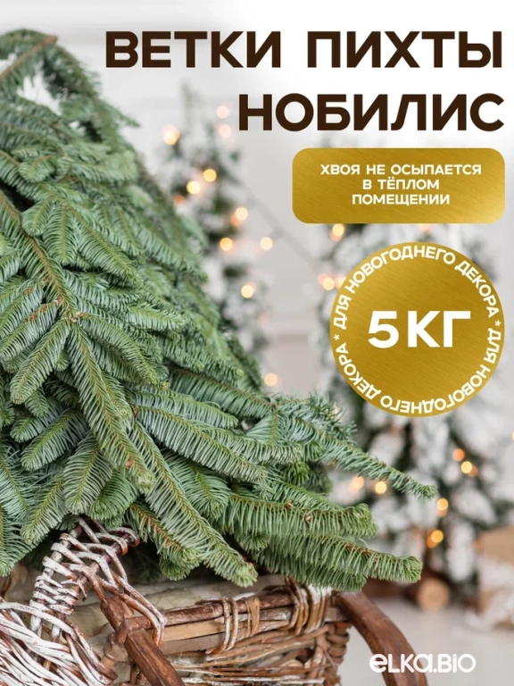 Лапник пихты Нобилис 5 кг.