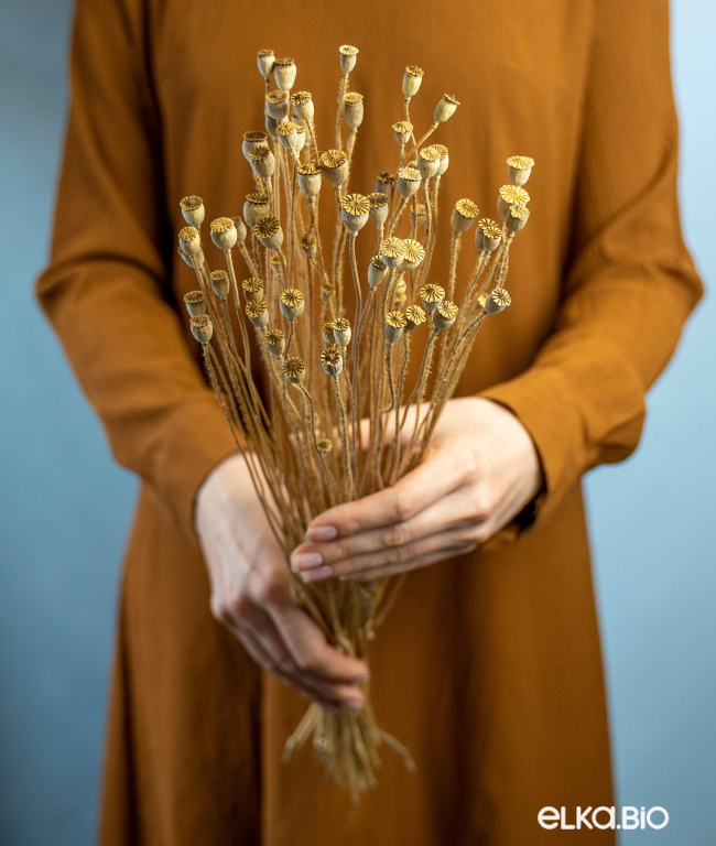 Мак натуральный (40г) М668