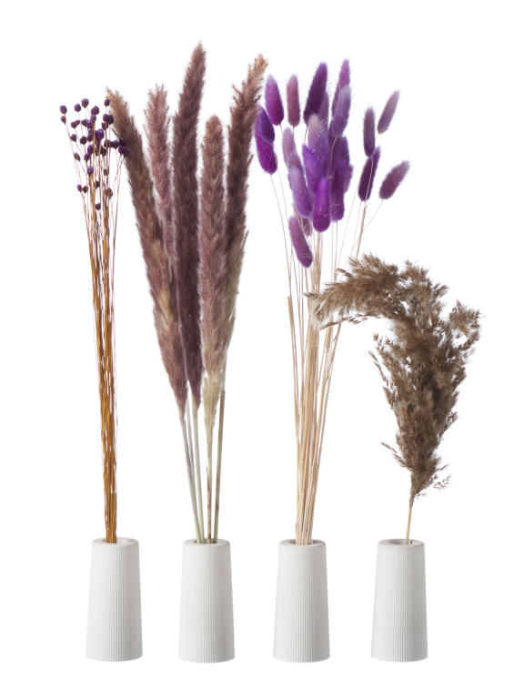 Сухоцветы для декора набор в нежных тонах М310