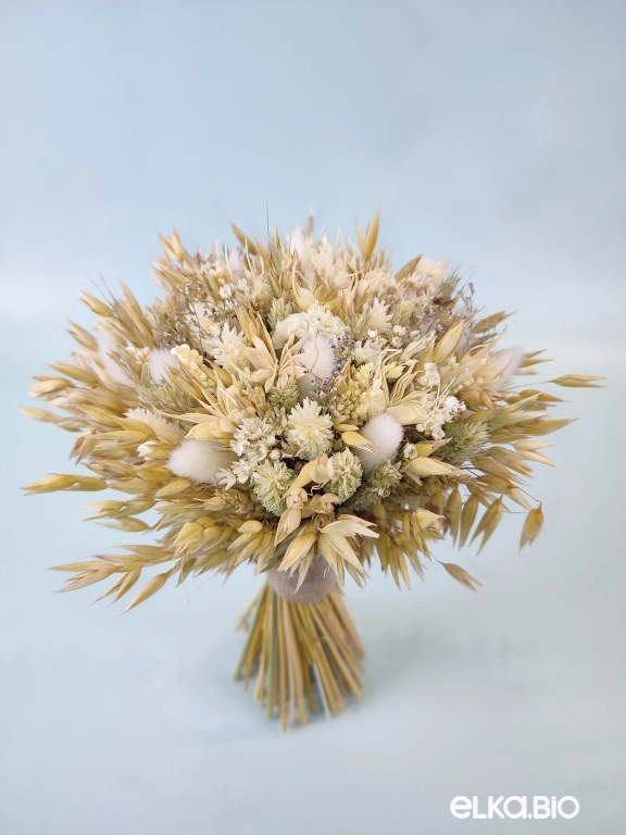 Букет сухоцветов овса и фаляриса Т248-B113