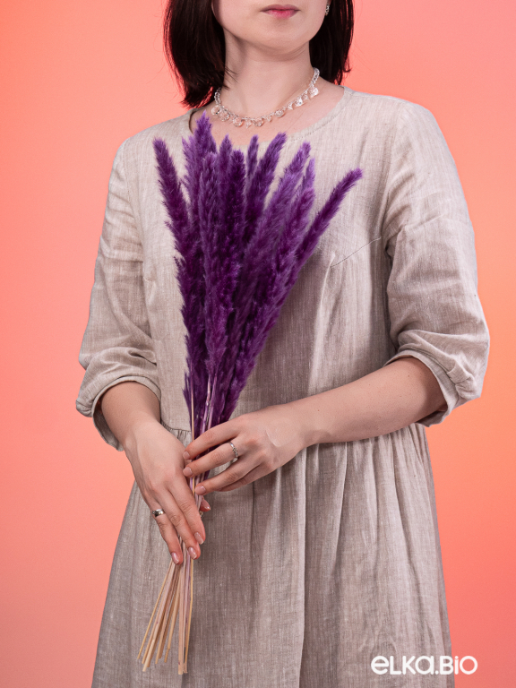 Трава сухоцвет пампас мини 15 шт. фиолетовый высший сорт