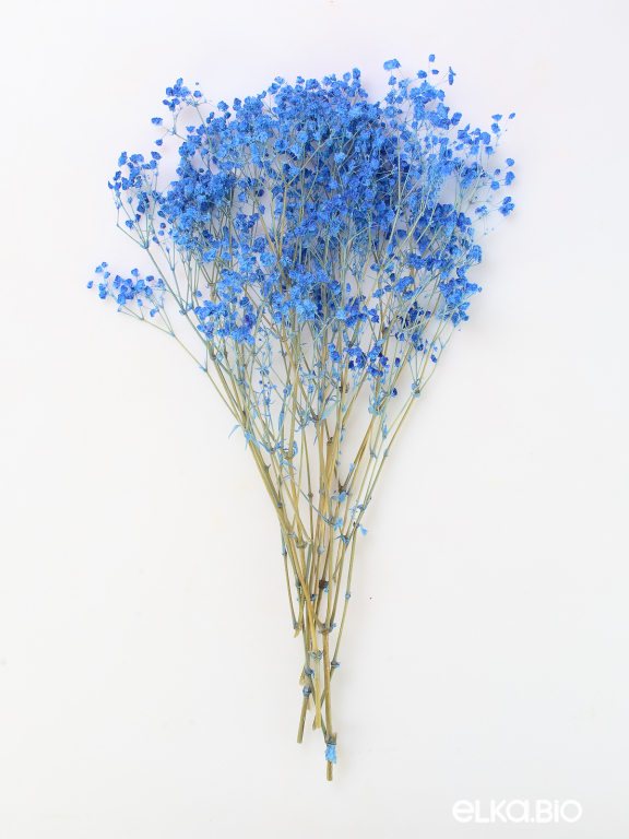 Гипсофила стабилизированная синяя 140 гр. высший сорт М165 Гипсофила стабилизированная синяя 140 гр. высший сорт М165