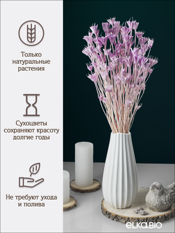 Нигелла светло - сиреневая 50г. Высший сорт. Высота 40-55 см. М407