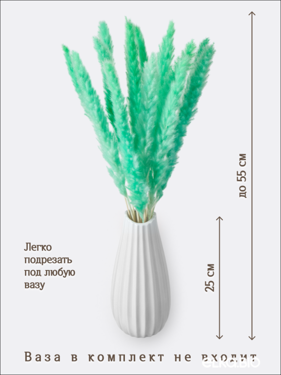 Пампас мини зелёно-бирюзовый 15 шт. Высший сорт. Высота 40-50 см. М133