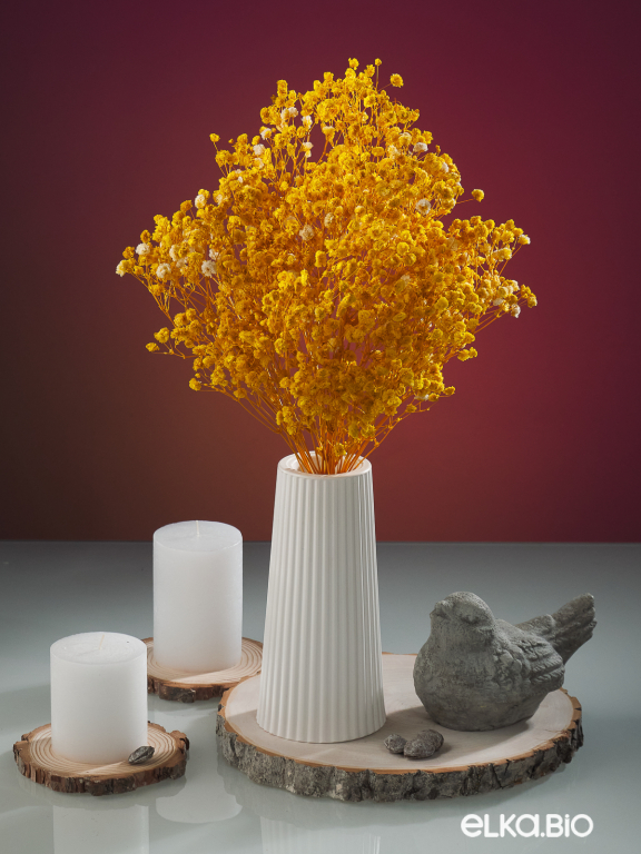 Гипсофила стабилизированная жёлтая 50 гр. высший сорт М172