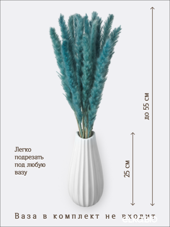 Пампас мини серо-малахитовый 15 шт. Высший сорт. Высота 40-50 см. М138