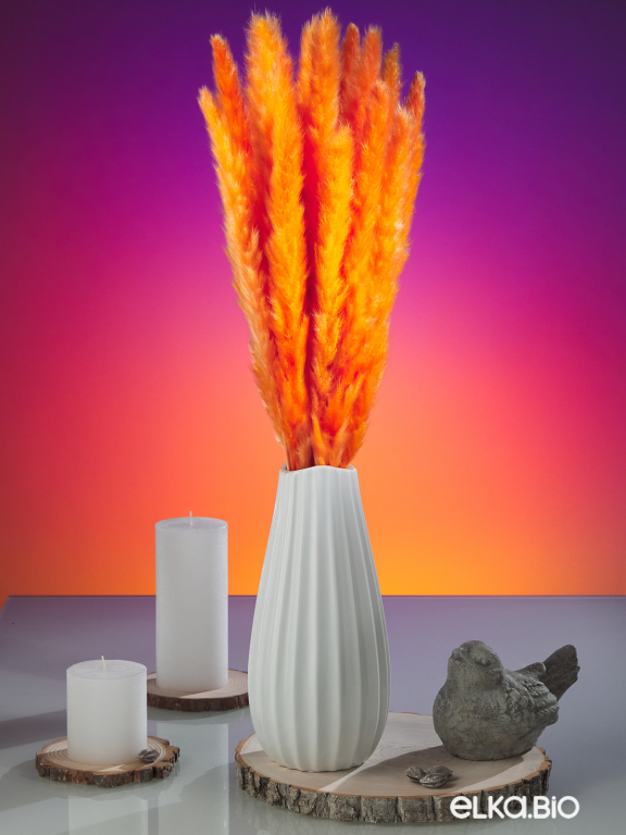 Трава сухоцвет пампас мини 90 шт. оранжевый первый сорт