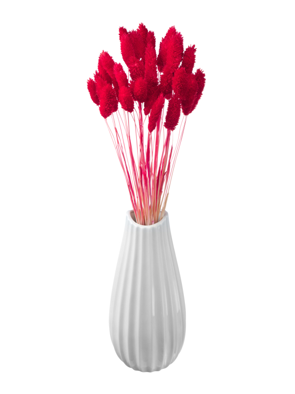 Фалярис красный (40шт) М108