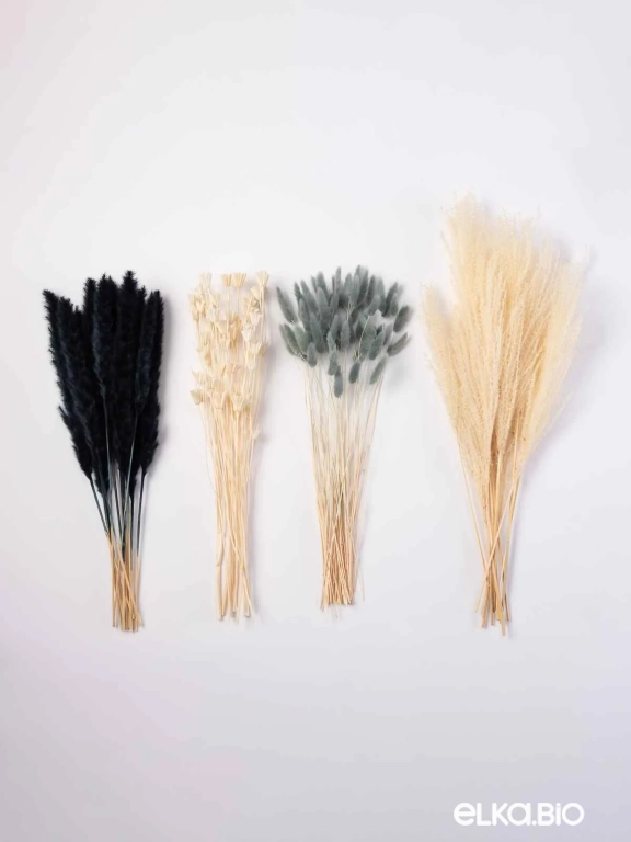 Сухоцветы для букета. Набор М074