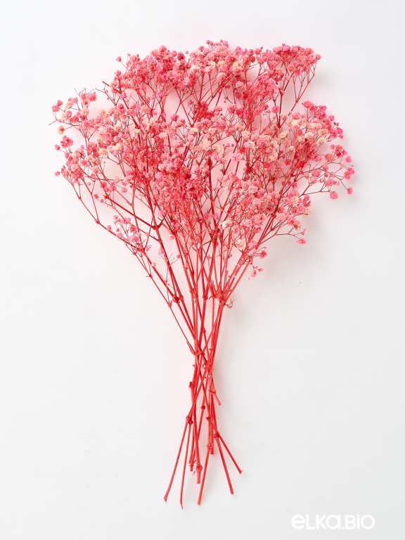 Гипсофила стабилизированная розовая 50 гр. высший сорт М176