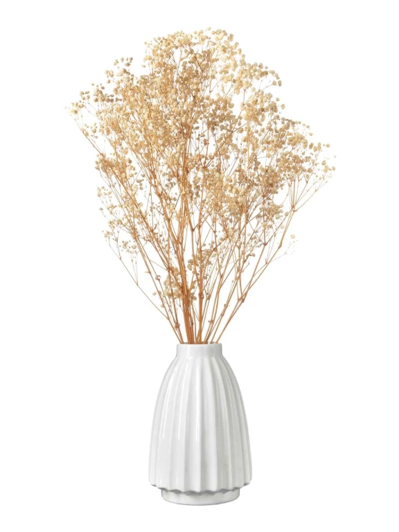 Гипсофила стабилизированная бежевая 140 гр. высший сорт М051