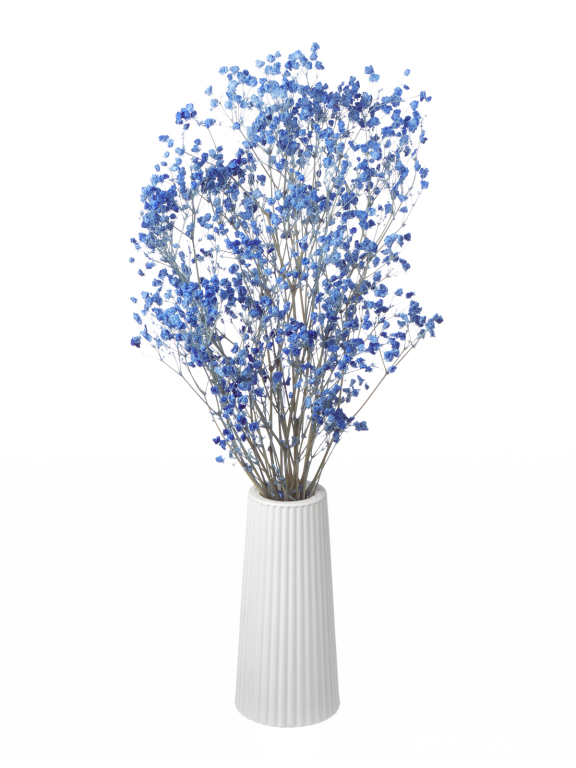 Гипсофила стабилизированная синяя 140 гр. высший сорт М165 Гипсофила стабилизированная синяя 140 гр. высший сорт М165