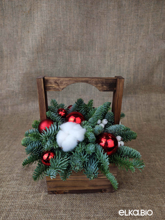 Композиция из веток пихты Нобилис "Рубиновое сокровище" Б127