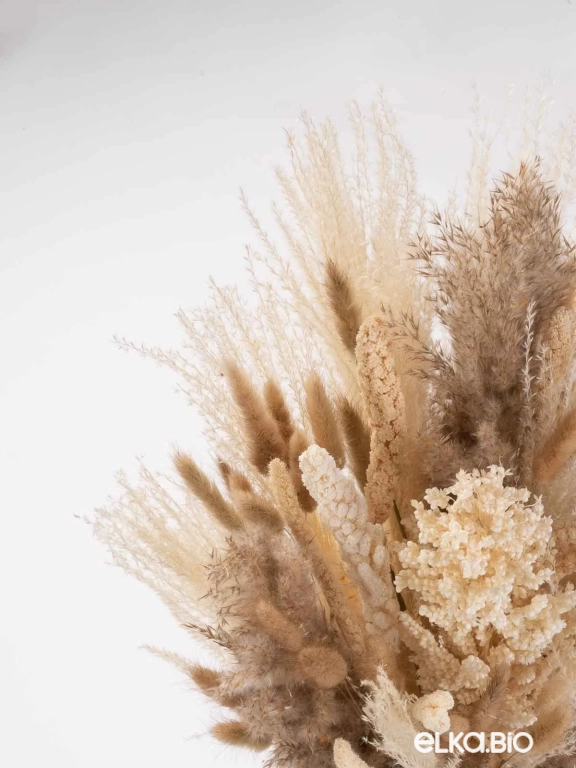 Cухоцветы для декора. Набор М072