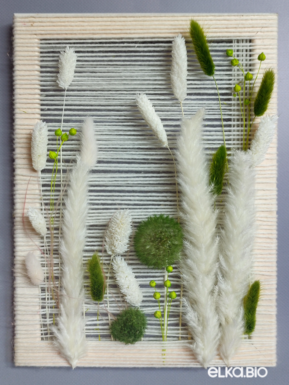 Панно на стену из белых и зеленых сухоцветов Б85-B108