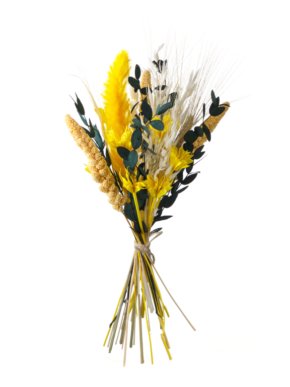 Яркие сухоцветы для декора в наборе М316