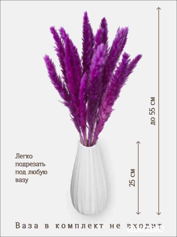 Пампас мини фиолетовый 15 шт. Высший сорт. Высота 40-50 см. М134