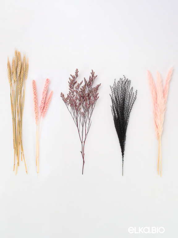 Набор натуральных сухоцветов М340