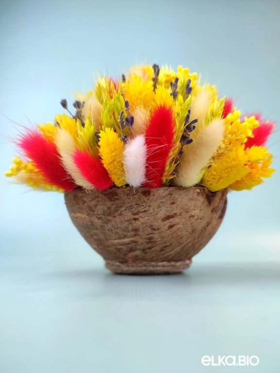 Яркая композиция из сухоцветов в скорлупе кокоса Б99-B113