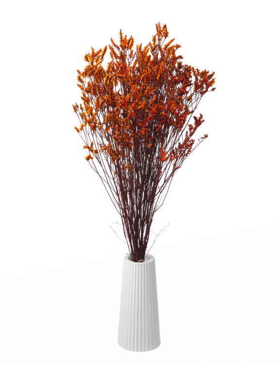 Цветы лимониума оранжевые (80г) М219