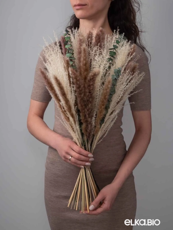 Эвкалипт, пампас мини и мискантус в наборе для декора. Набор М098