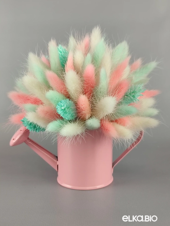 Цветы лагуруса и фаляриса в лейке А102-B100