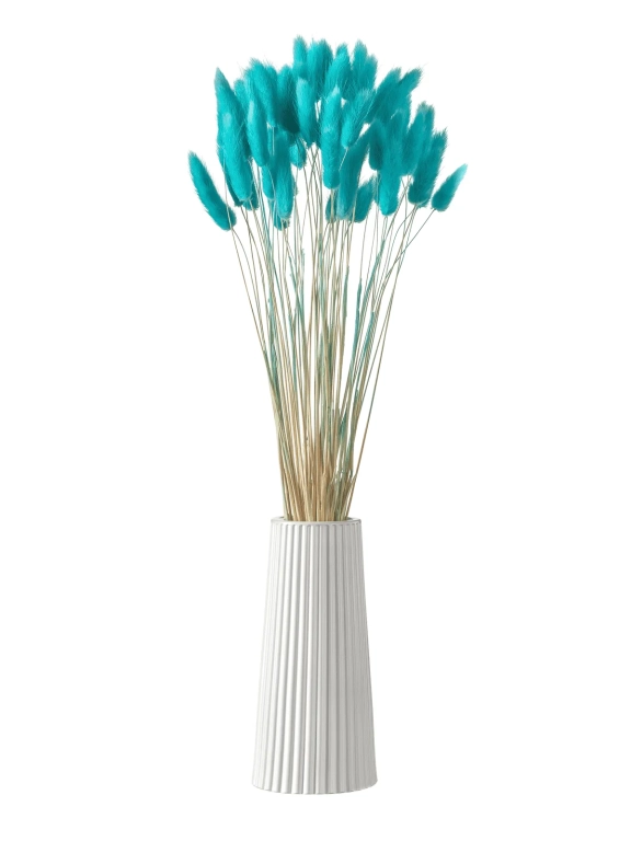 Лагурус ярко-бирюзовый высший сорт - 60 шт