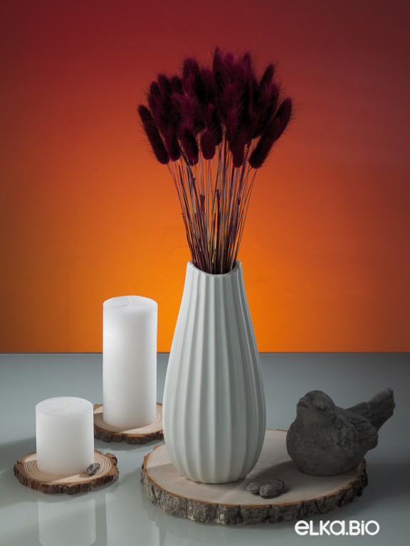 Лагурус бордовый марсала первый сорт - 300 шт