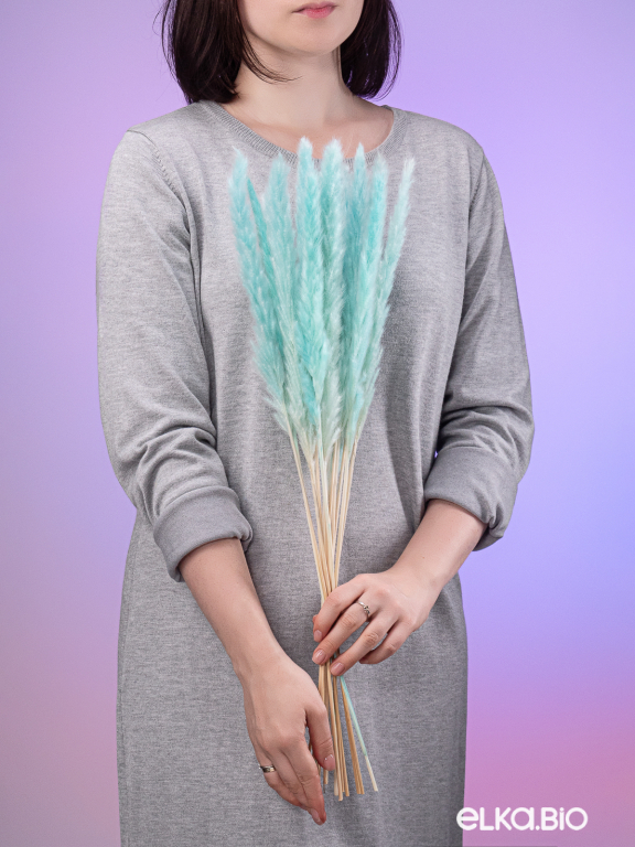 Трава сухоцвет пампас мини 15 шт. светло-бирюзовый высший сорт