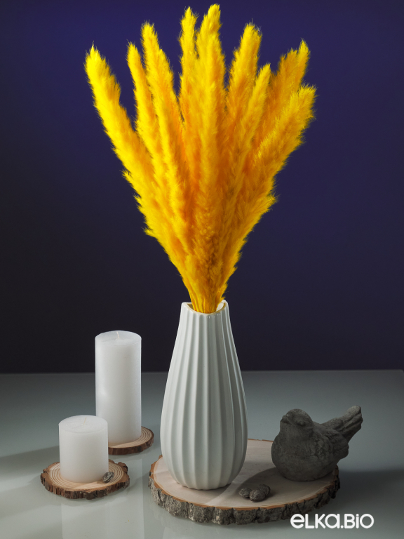 Трава сухоцвет пампас мини 15 шт. ярко-жёлтый высший сорт