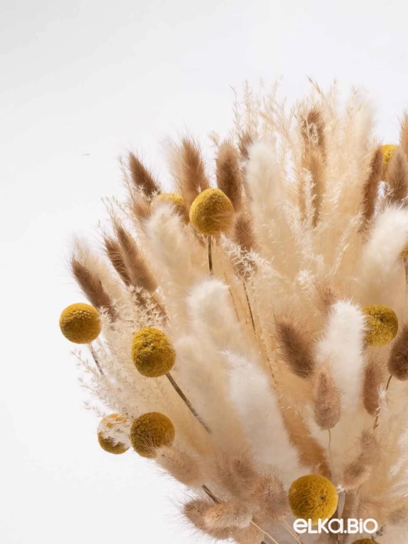 Набор сухоцветов для вазы. Набор М077