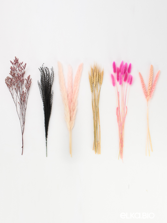 Сухоцветы для декора в наборе М365