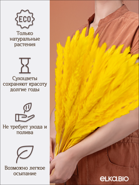 Пампас мини желтый 45 шт. Высший сорт М266