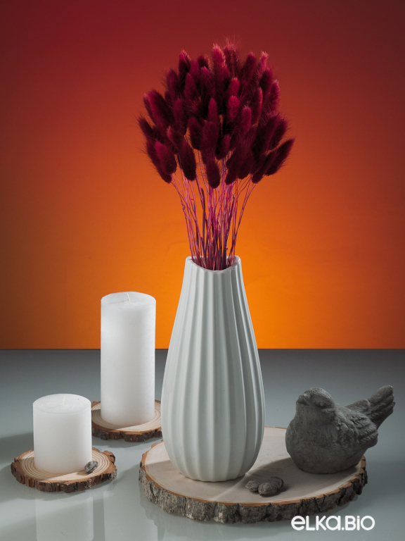 Лагурус бордово-коричневый первый сорт - 300 шт