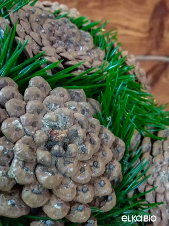 Декоративный шар из шишек сосны Черепашки М2-В19