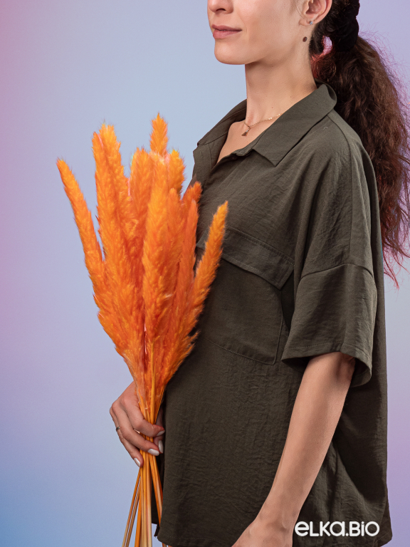 Трава сухоцвет пампас мини 15 шт. оранжевый высший сорт