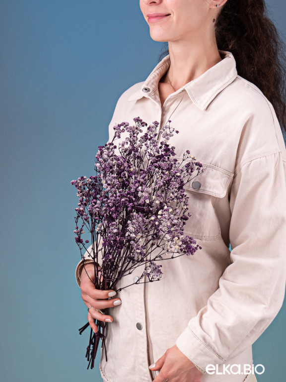 Гипсофила стабилизированная фиолетовая 550 гр. первый сорт М5168