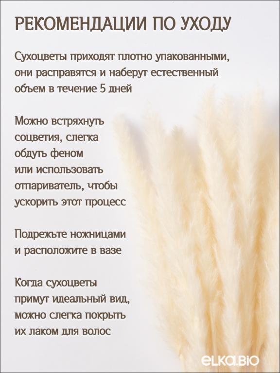 Пампас мини белый 45 шт. Высший сорт М265