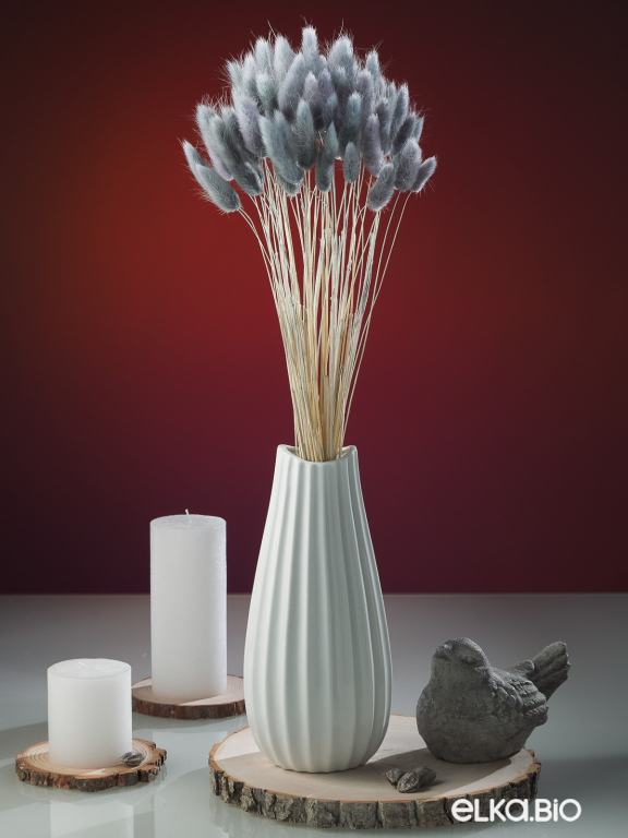 Лагурус серый первый сорт - 300 шт