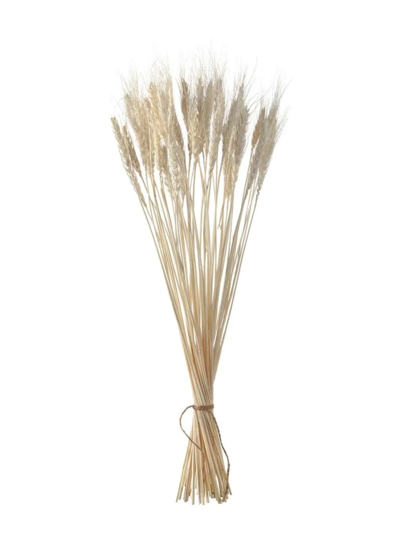 Пшеница белая (40 шт) М099