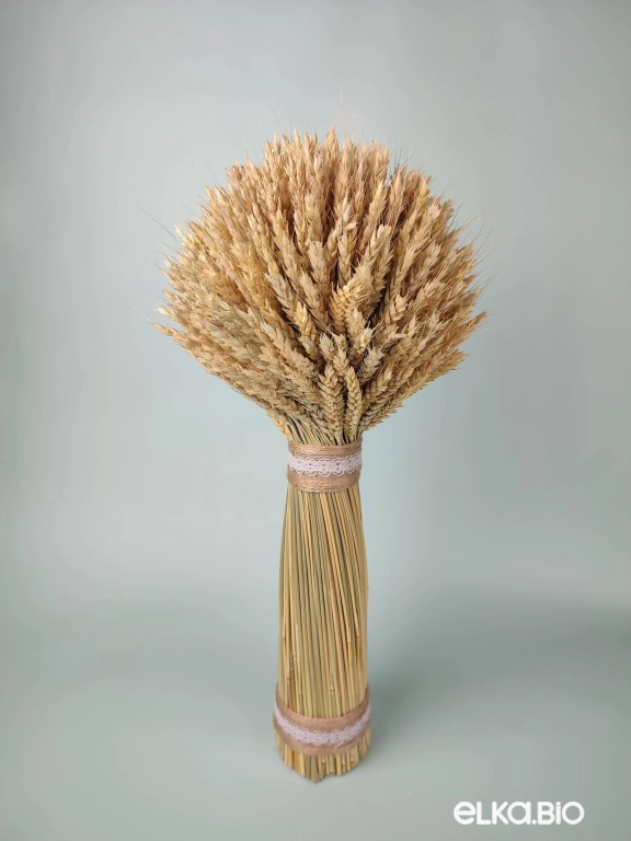 Декоративный сноп пшеницы Б91-B110
