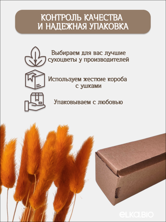Лагурус оранжевый 30 шт. Высший сорт. Высота 25-35 см М478