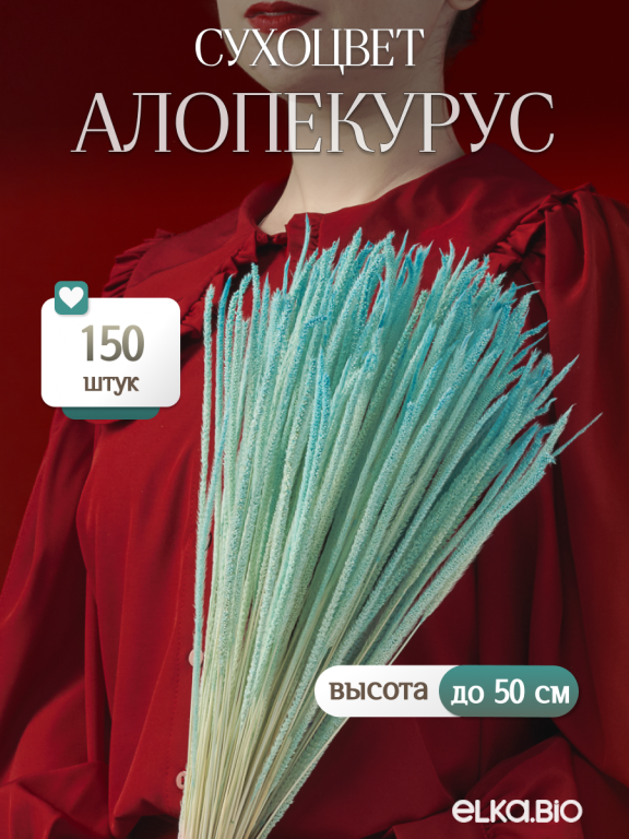Алопекурус (тимофеевка) бирюзовый 150 шт. Высший сорт - до 50 см  М453