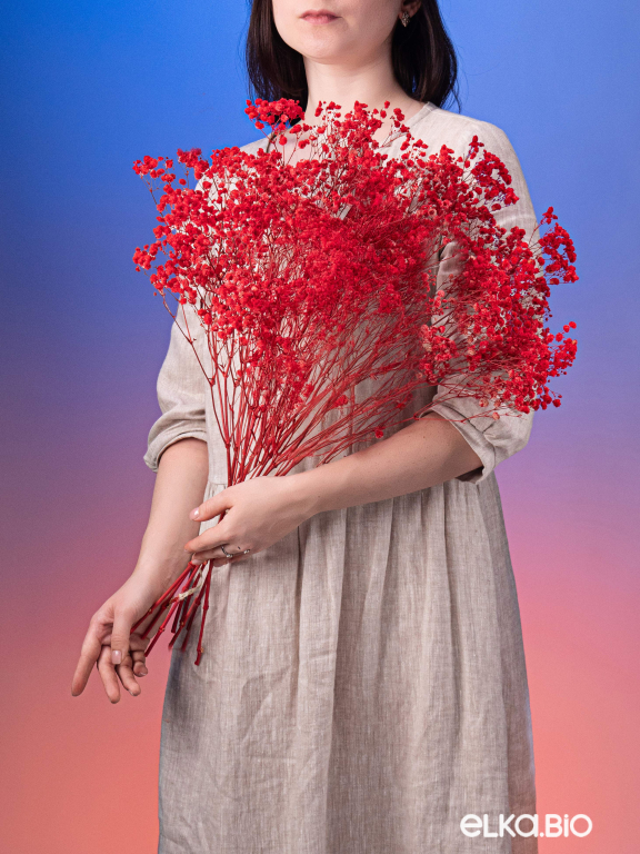 Гипсофила красная 140г. Высший сорт - стабилизированная М162