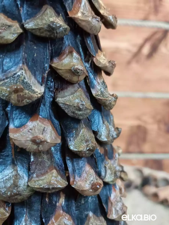 Настольная декоративная елка из сосновых чешуек Магия сосны (большая) Т61-В21