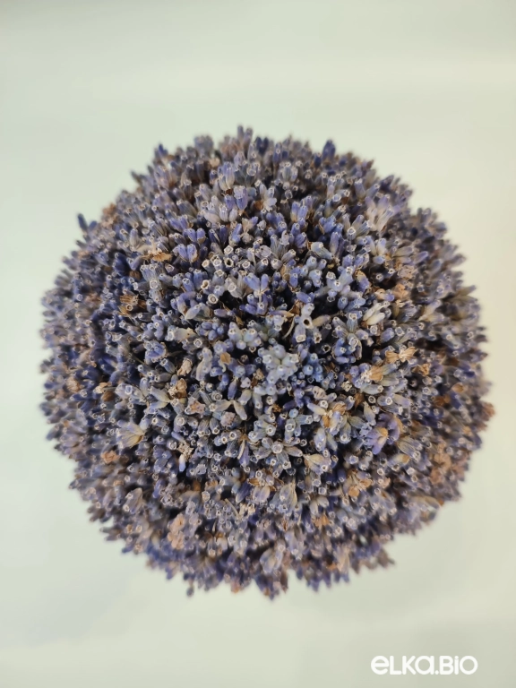 Лавандовый букет Т236-B111